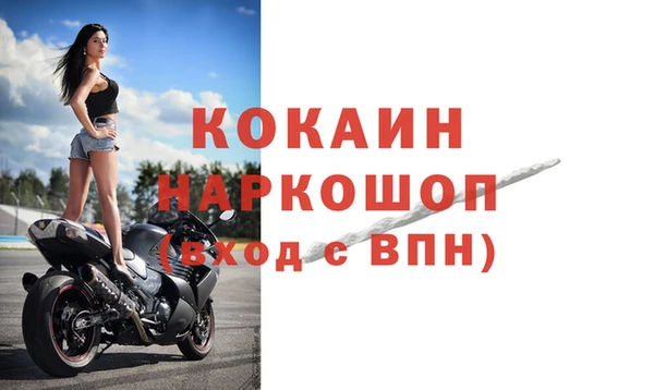 хмурый Алексин