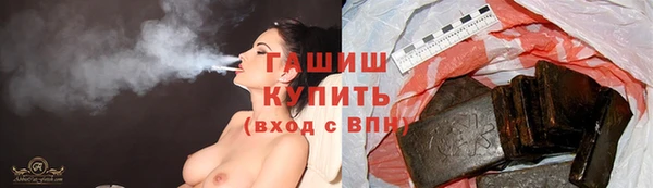 хмурый Алексин