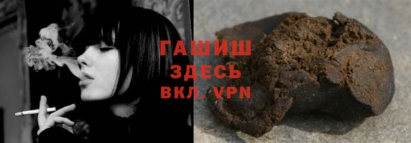 хмурый Алексин