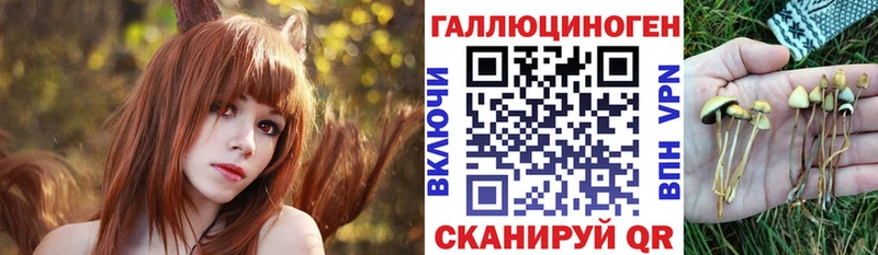 MEGA маркетплейс  Сунжа  Псилоцибиновые грибы ЛСД 